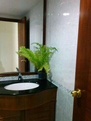 Pinevale (D18), Condominium #496215761